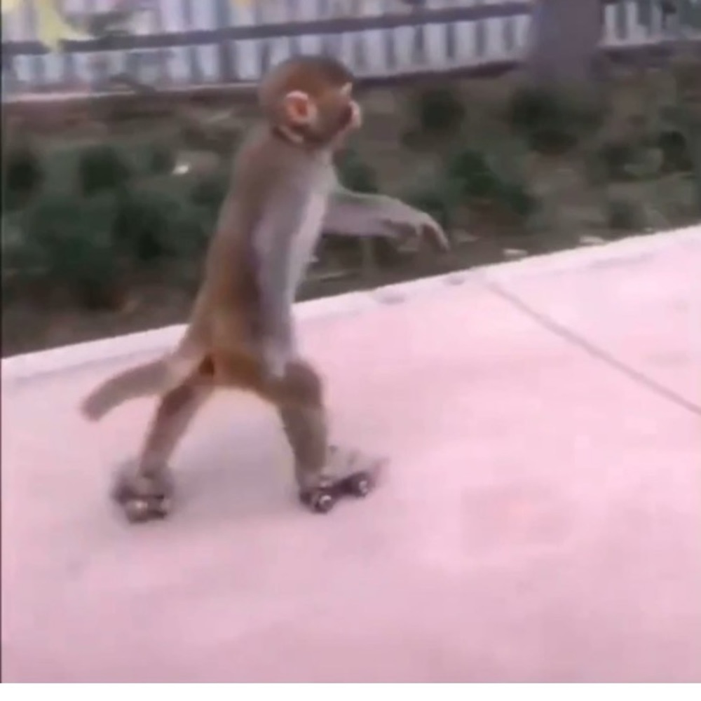 Meet your Posher, Dana